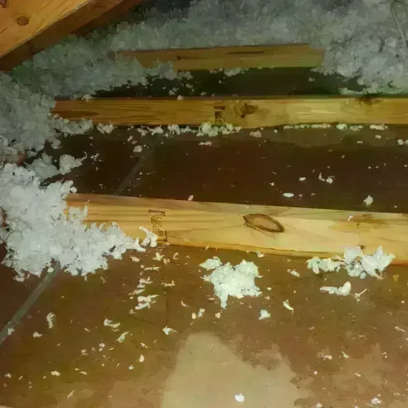 Attic Water Damage in Petersburg, WV