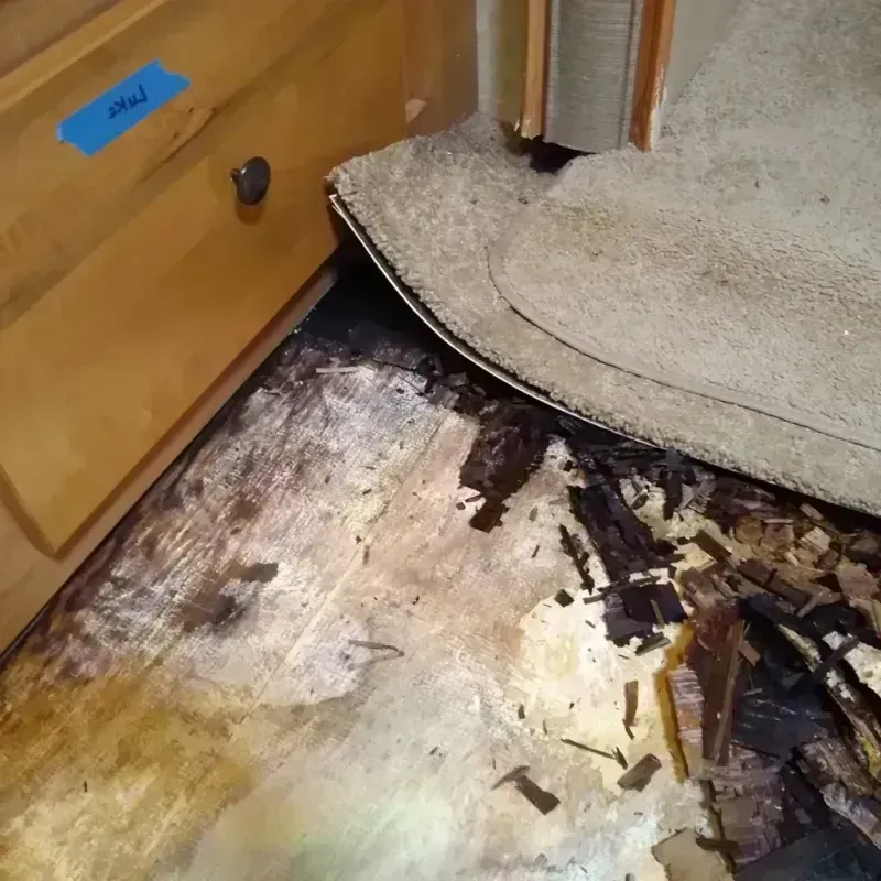 Wood Floor Water Damage in Petersburg, WV